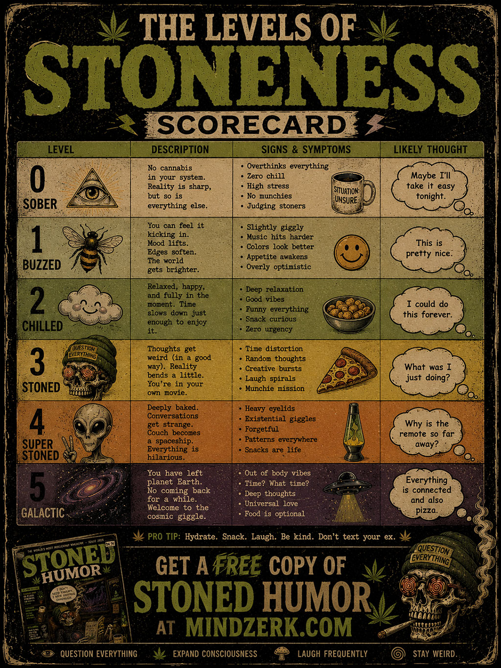 The Level Of Stoneness Score Card